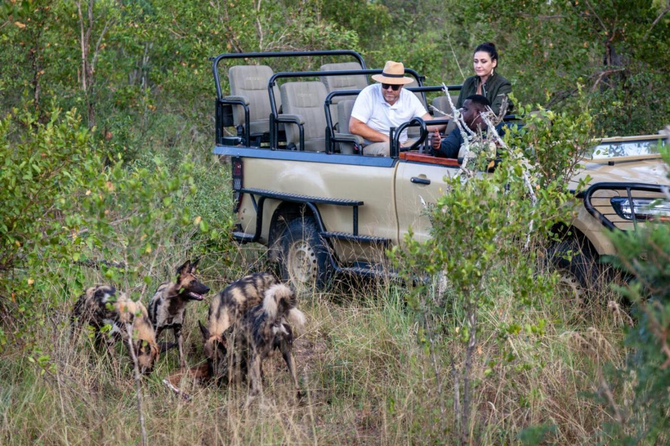 שמורת הציד סאבי סנד Leopard Hills Private Game Reserve מראה חיצוני תמונה