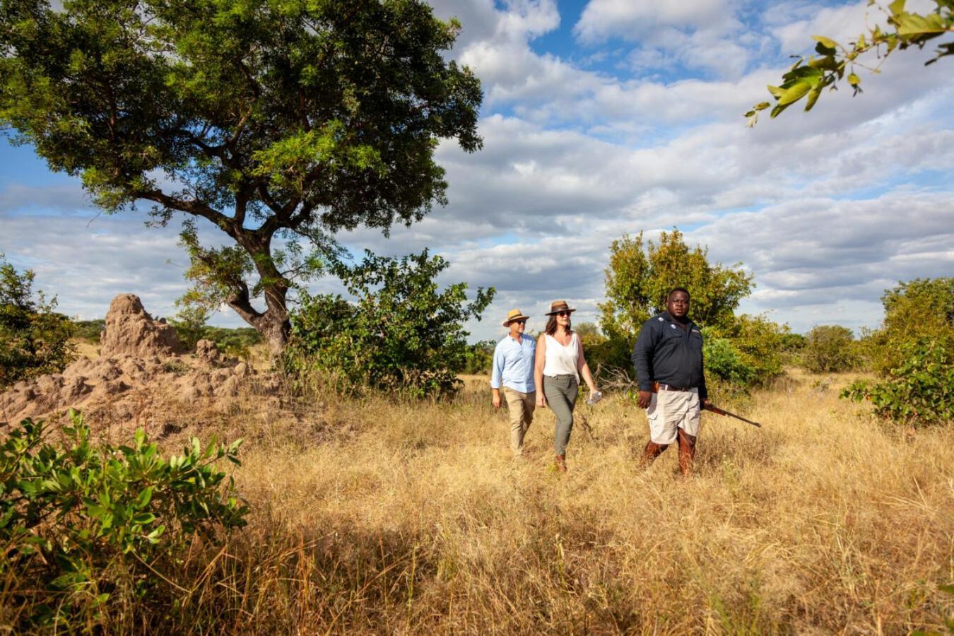שמורת הציד סאבי סנד Leopard Hills Private Game Reserve מראה חיצוני תמונה