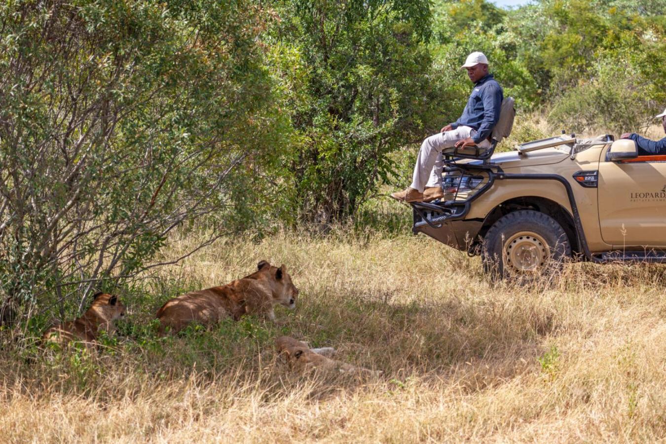שמורת הציד סאבי סנד Leopard Hills Private Game Reserve מראה חיצוני תמונה