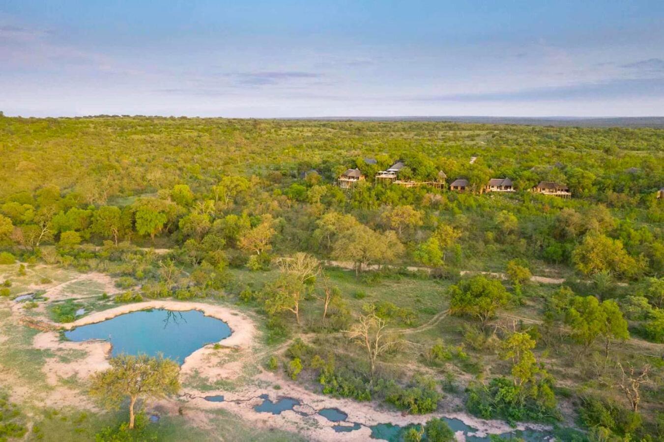 שמורת הציד סאבי סנד Leopard Hills Private Game Reserve מראה חיצוני תמונה