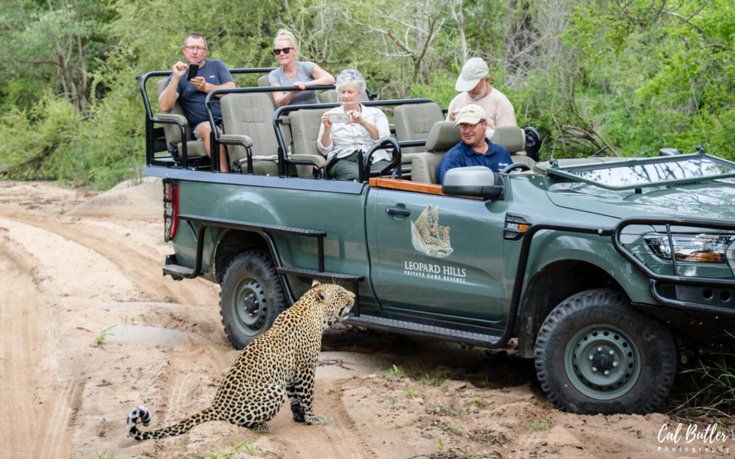 שמורת הציד סאבי סנד Leopard Hills Private Game Reserve מראה חיצוני תמונה